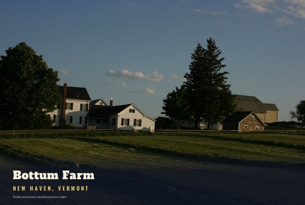 New Haven Bottum Farm Postcard artwork detail