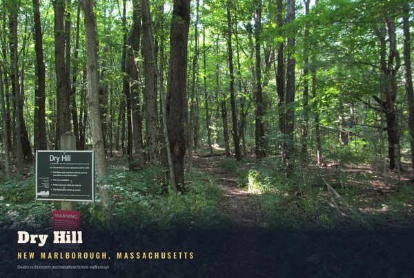 New Marlborough Dry Hill Postcard artwork detail