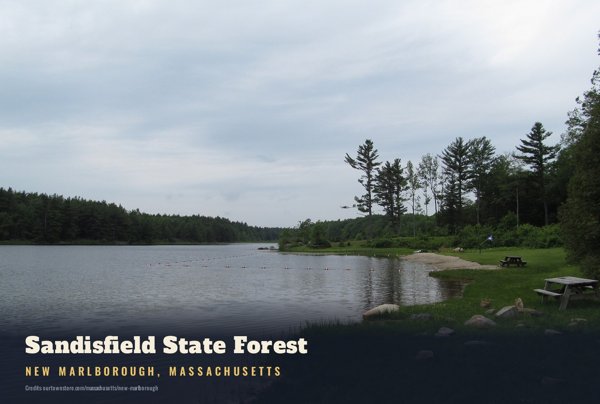 New Marlborough Sandisfield State Forest Postcard artwork detail