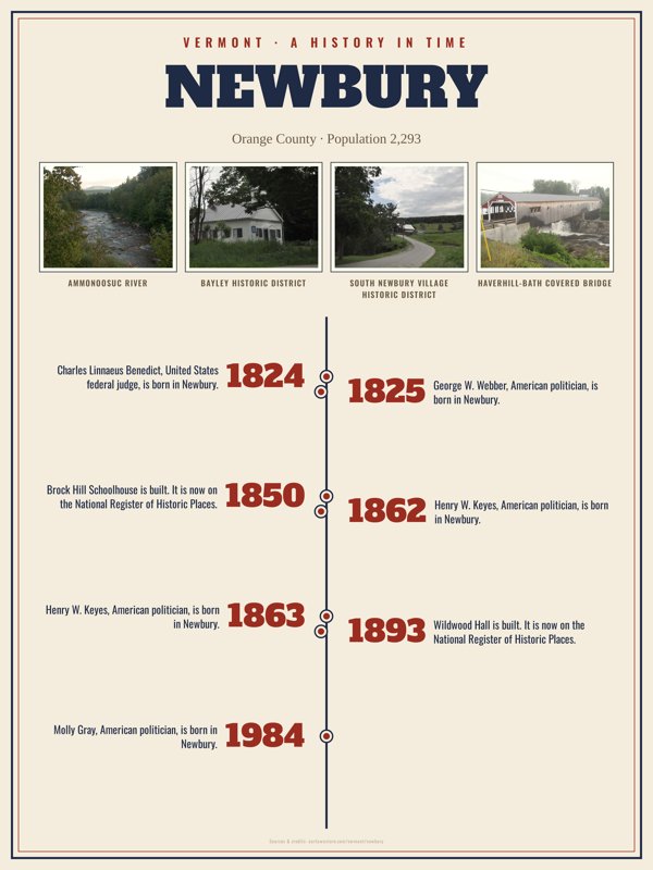Newbury History Timeline Poster artwork detail