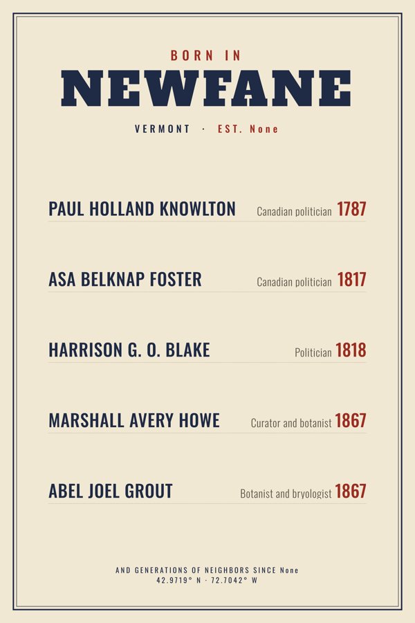 Newfane “Born In” Poster artwork detail