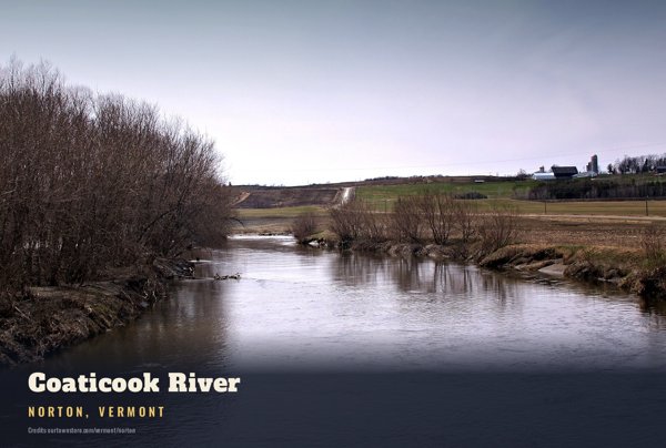 Norton Coaticook River Postcard artwork detail