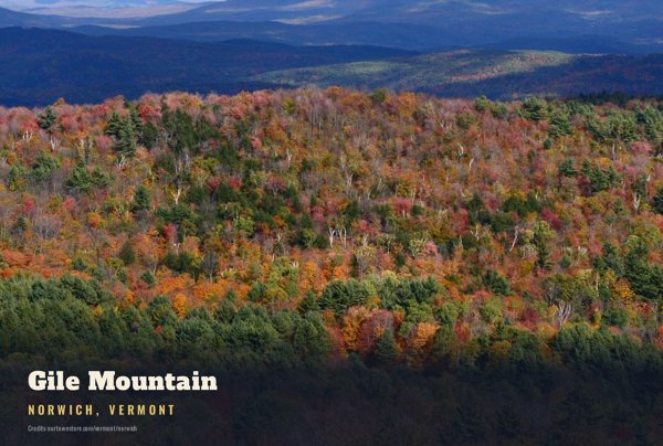 Norwich Gile Mountain Postcard artwork detail
