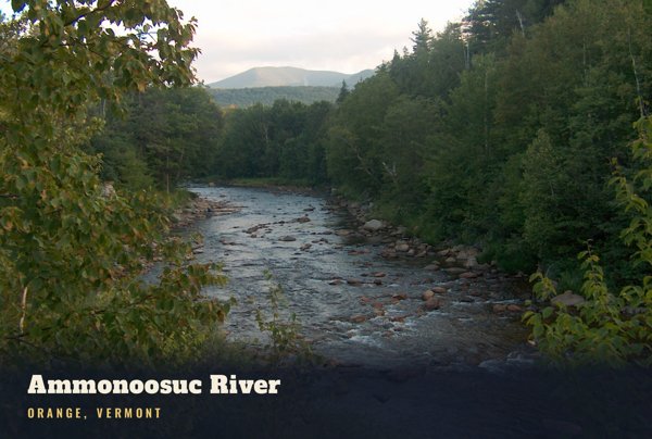 Orange Ammonoosuc River Postcard artwork detail