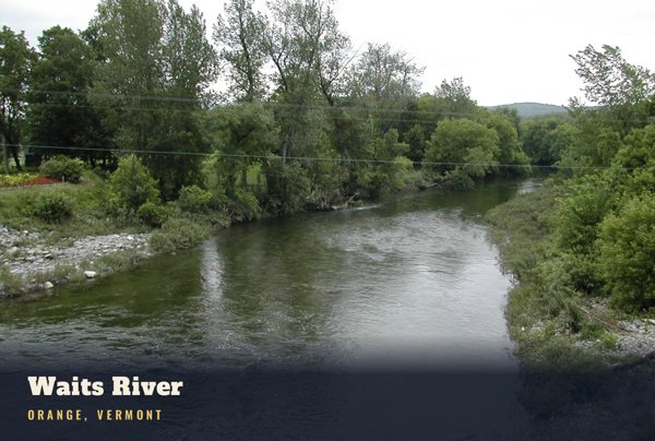 Orange Waits River Postcard artwork detail