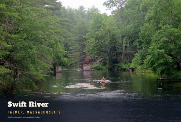 Palmer Swift River Postcard artwork detail