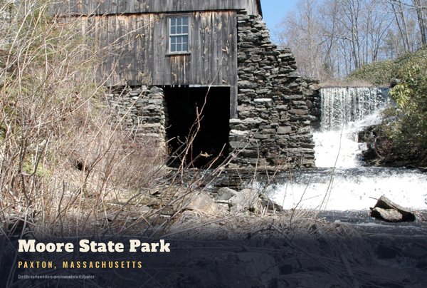 Paxton Moore State Park Postcard artwork detail