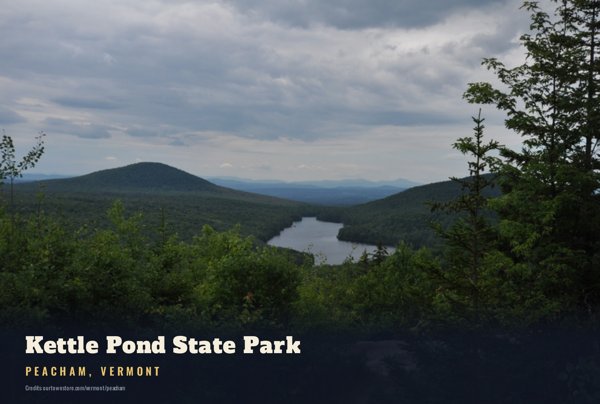 Peacham Kettle Pond State Park Postcard artwork detail