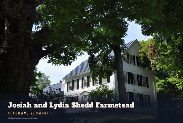 Peacham Josiah and Lydia Shedd Farmstead Postcard artwork detail