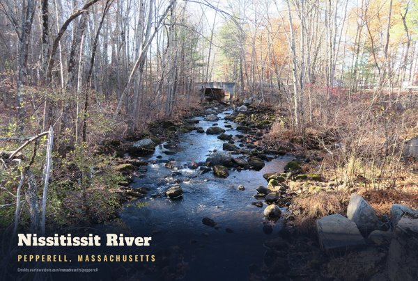Pepperell Nissitissit River Postcard artwork detail