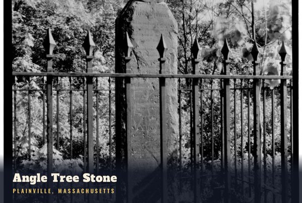Plainville Angle Tree Stone Postcard artwork detail