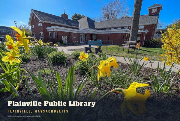 Plainville Plainville Public Library Postcard artwork detail