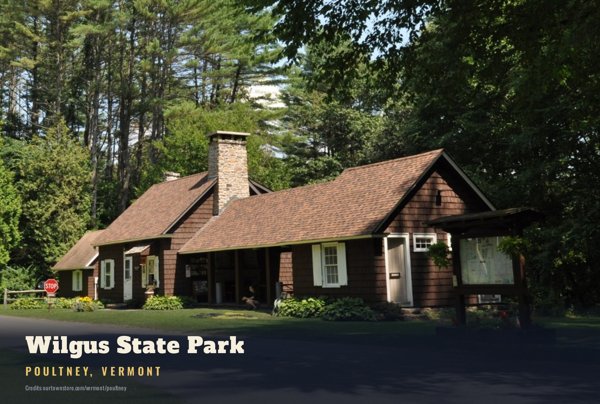 Poultney Wilgus State Park Postcard artwork detail