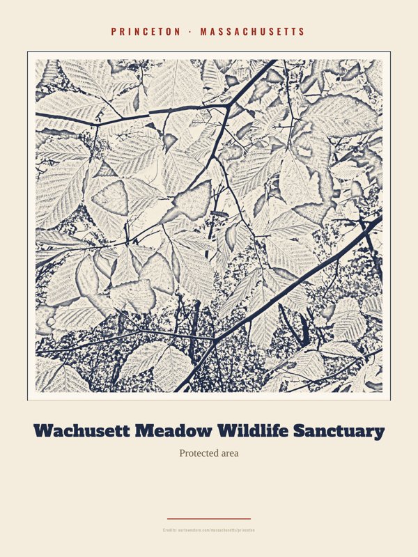 Princeton Wachusett Meadow Wildlife Sanctuary Landmark Print artwork detail
