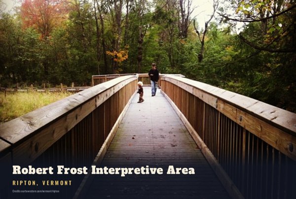 Ripton Robert Frost Interpretive Area Postcard artwork detail