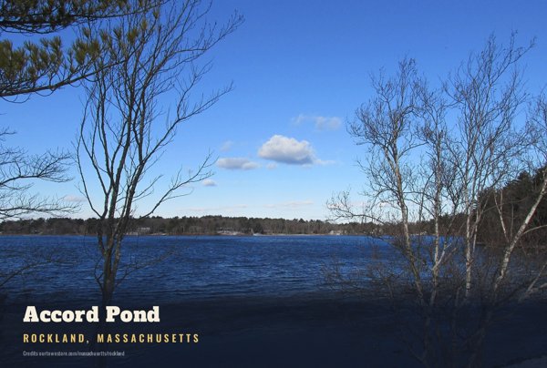 Rockland Accord Pond Postcard artwork detail