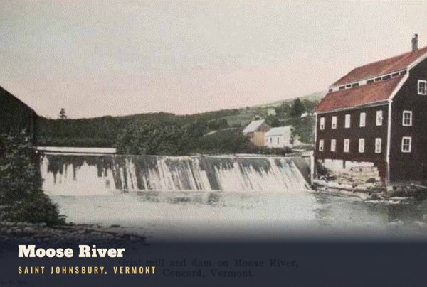 Saint Johnsbury Moose River Postcard artwork detail