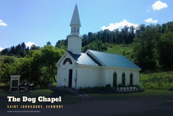 Saint Johnsbury The Dog Chapel Postcard artwork detail
