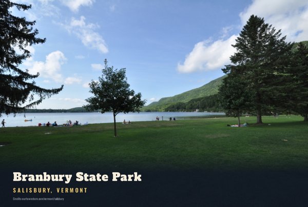 Salisbury Branbury State Park Postcard artwork detail