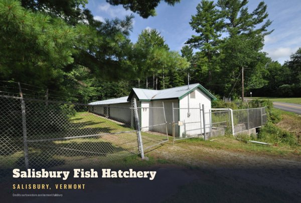 Salisbury Salisbury Fish Hatchery Postcard artwork detail