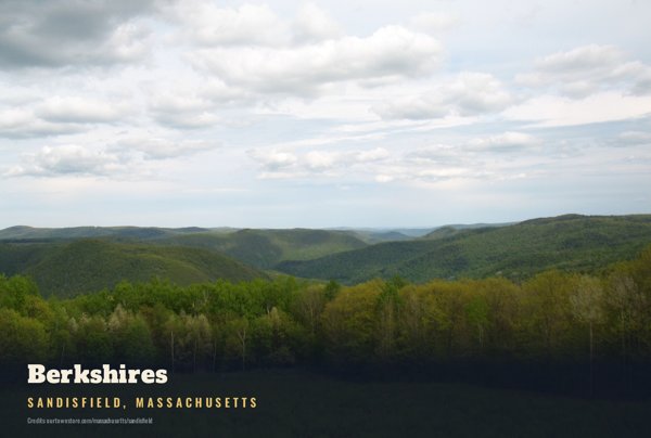 Sandisfield Berkshires Postcard artwork detail