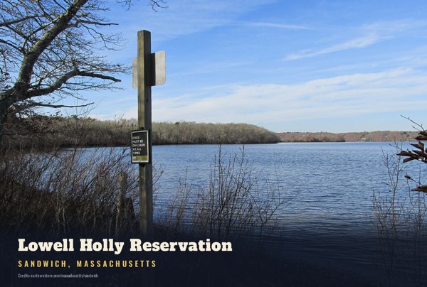 Sandwich Lowell Holly Reservation Postcard artwork detail
