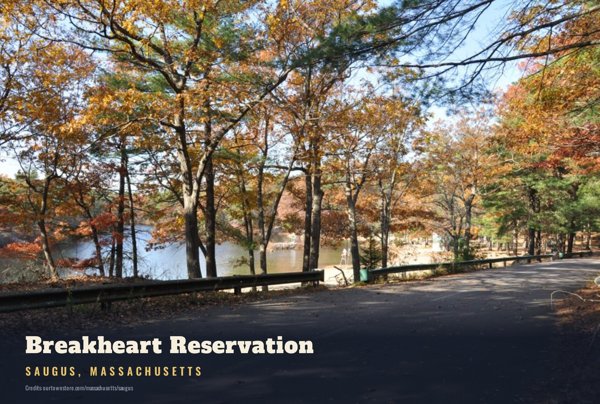 Saugus Breakheart Reservation Postcard artwork detail