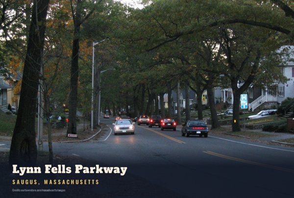 Saugus Lynn Fells Parkway Postcard artwork detail