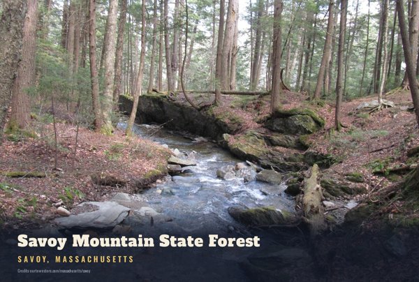 Savoy Savoy Mountain State Forest Postcard artwork detail