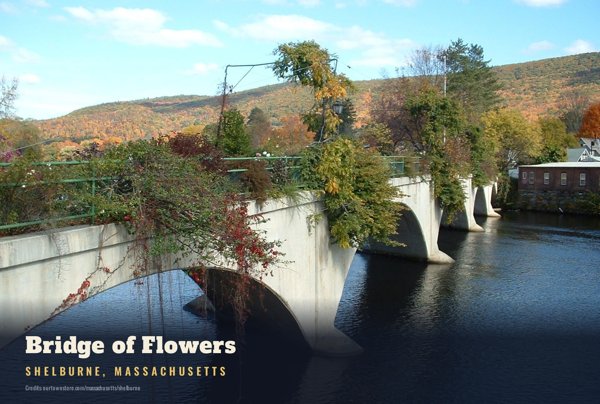 Shelburne Bridge of Flowers Postcard artwork detail