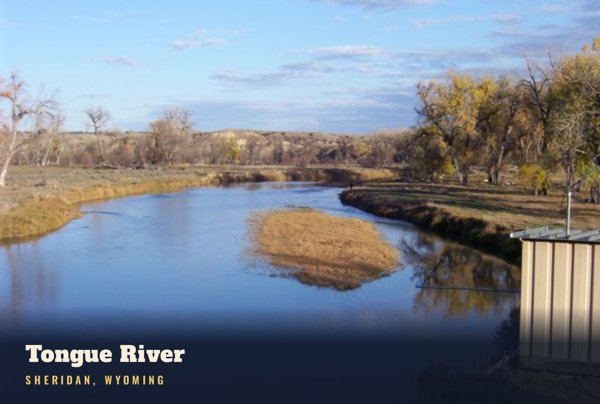 Sheridan Tongue River Postcard artwork detail
