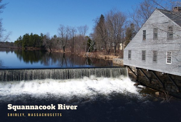 Shirley Squannacook River Postcard artwork detail