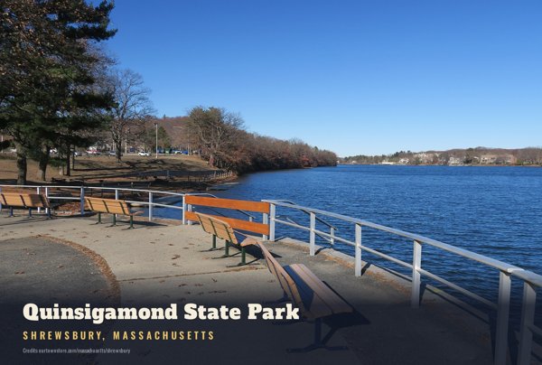 Shrewsbury Quinsigamond State Park Postcard artwork detail