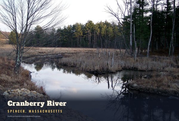 Spencer Cranberry River Postcard artwork detail
