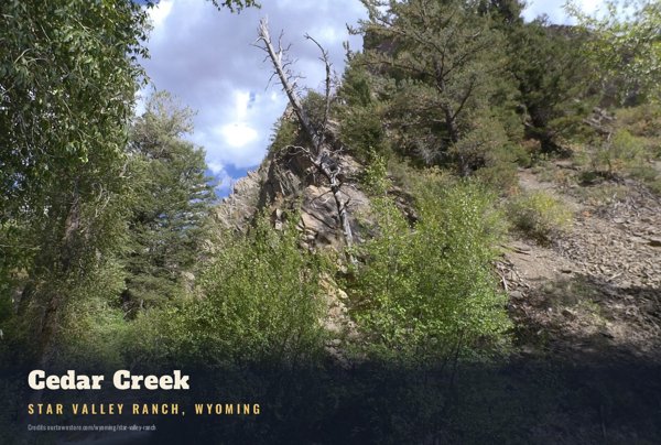 Star Valley Ranch Cedar Creek Postcard artwork detail