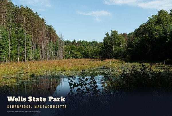 Sturbridge Wells State Park Postcard artwork detail