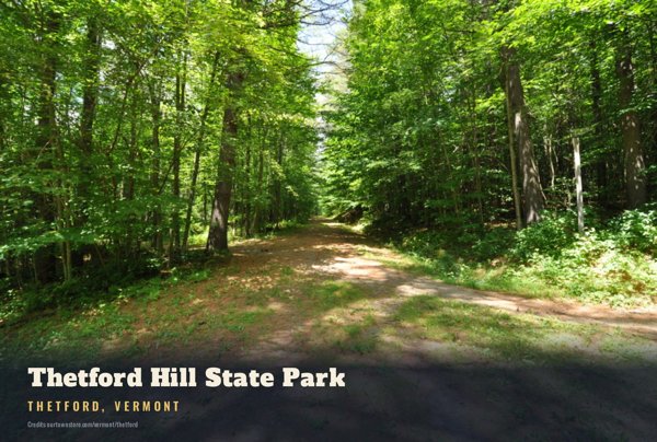 Thetford Thetford Hill State Park Postcard artwork detail