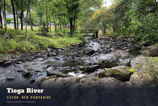 Tilton Tioga River Postcard artwork detail