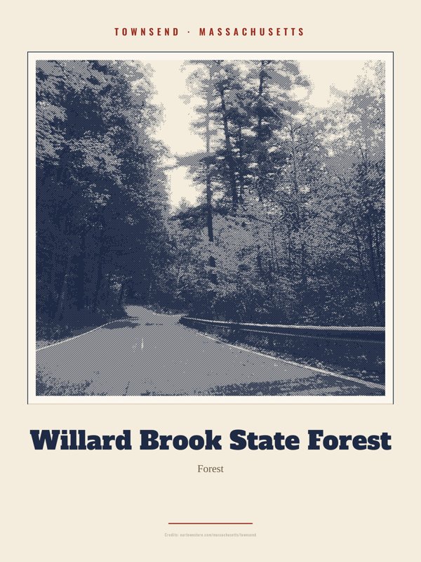 Townsend Willard Brook State Forest Landmark Print artwork detail