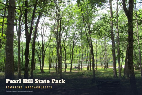 Townsend Pearl Hill State Park Postcard artwork detail