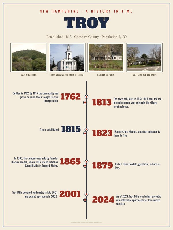 Troy History Timeline Poster artwork detail