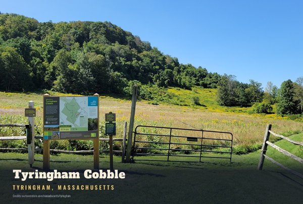 Tyringham Tyringham Cobble Postcard artwork detail