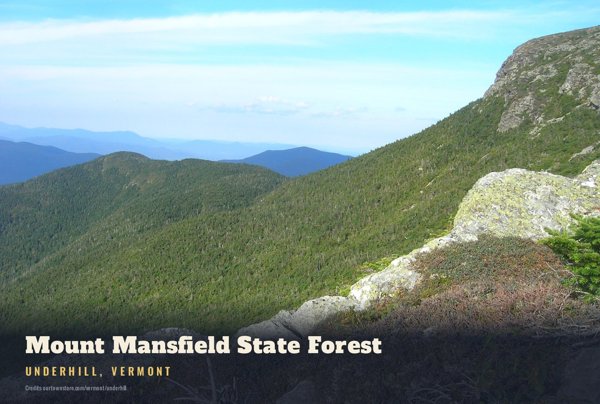 Underhill Mount Mansfield State Forest Postcard artwork detail