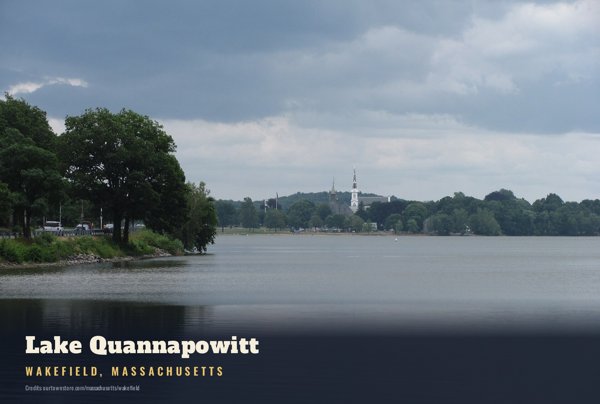 Wakefield Lake Quannapowitt Postcard artwork detail