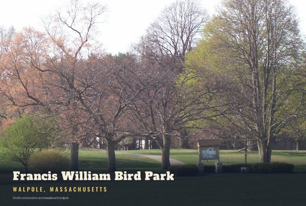 Walpole Francis William Bird Park Postcard artwork detail