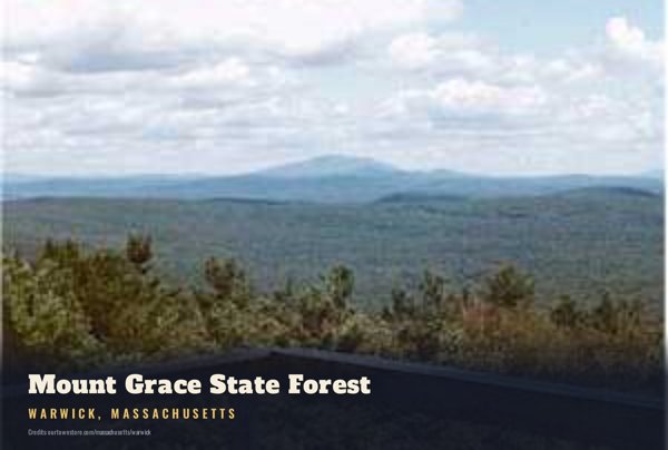 Warwick Mount Grace State Forest Postcard artwork detail