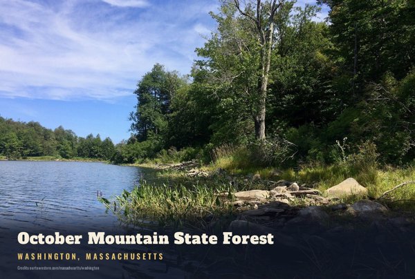 Washington October Mountain State Forest Postcard artwork detail
