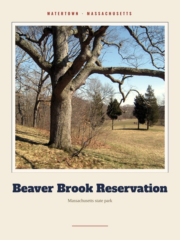 Watertown Beaver Brook Reservation Landmark Print artwork detail