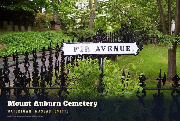 Watertown Mount Auburn Cemetery Postcard artwork detail