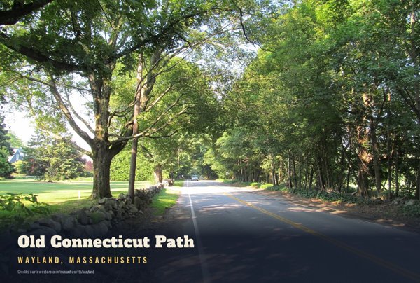 Wayland Old Connecticut Path Postcard artwork detail